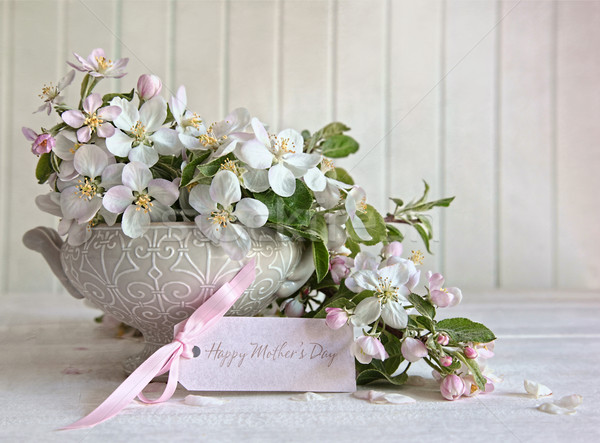 Apple blossom flowers in vase with gift card Stock photo © Sandralise