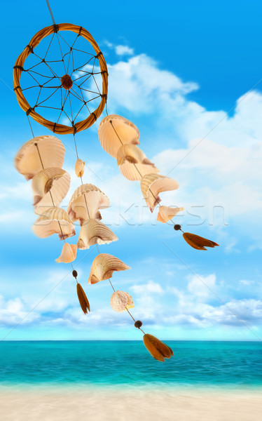 Sea shells blowing in the wind Stock photo © Sandralise