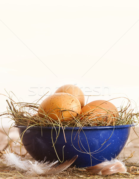 Ouă de Paşti albastru castron paie fericit proiect Imagine de stoc © Sandralise