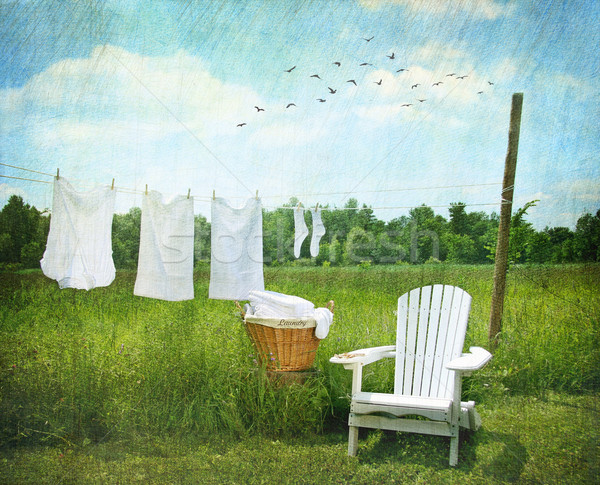 Szennyes ruhaszárító gyönyörű tavasz természet szék Stock fotó © Sandralise