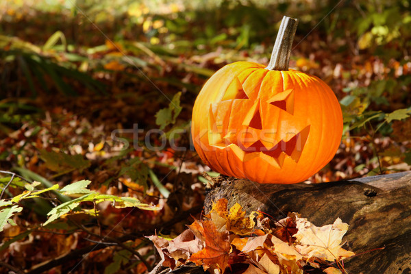Funny face pumpkin on tree trunk in forest Stock photo © Sandralise
