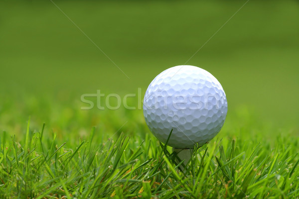 Golf ball with tee in the grass  Stock photo © Sandralise