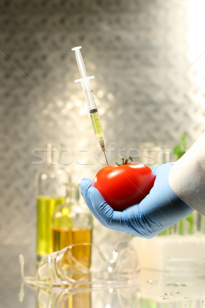 Mână tomate seringă genetic testarea Imagine de stoc © Sandralise
