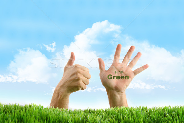 Hände umweltfreundlich Zeichen Gras Natur Hintergrund Stock foto © Sandralise