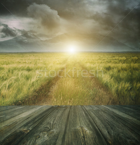 Wood Floor With A Prairie Path In Background Stock Photo C Sandralise Stockfresh