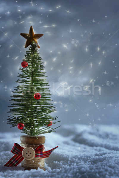 Little tree in snow with starry night background Stock photo © Sandralise