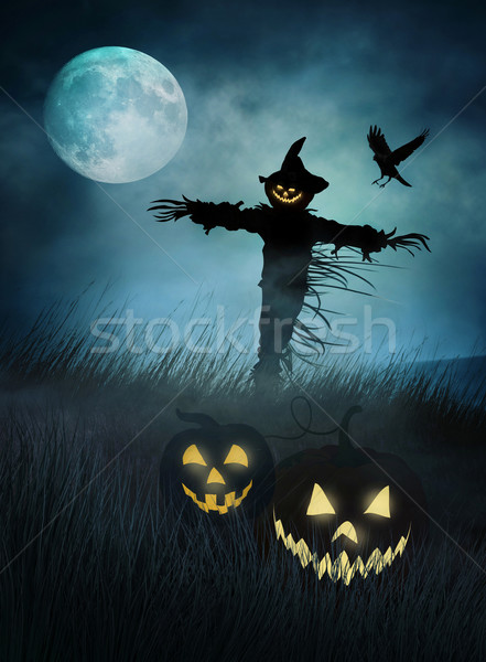 商业照片: 稻草人 · 领域 ·草·夜· 侧影 · 日落