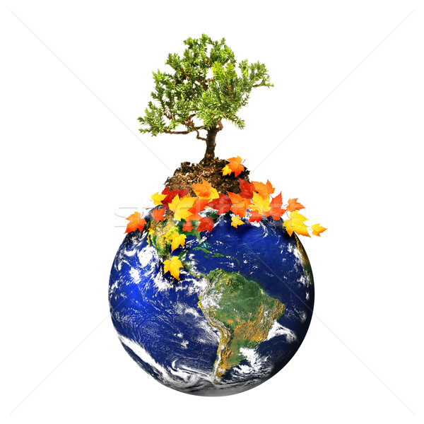 Earth with a tree isolated over a white background Stock photo © Sandralise