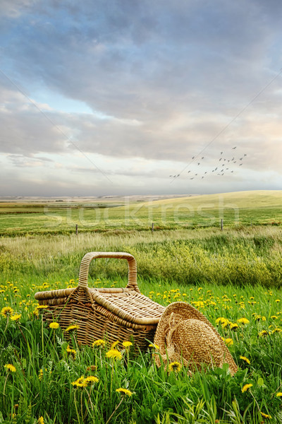 Picnic basket and hat in the tall grass Stock photo © Sandralise