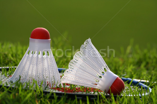 Badminton ingesteld gras laat namiddag fitness Stockfoto © Sandralise