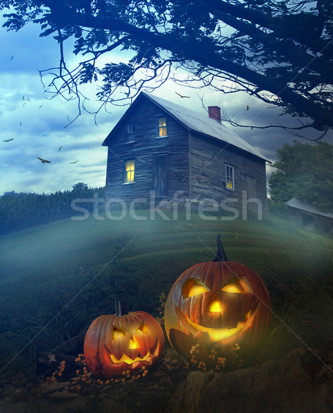 Halloween pumpkins in front of Spooky house Stock photo © Sandralise