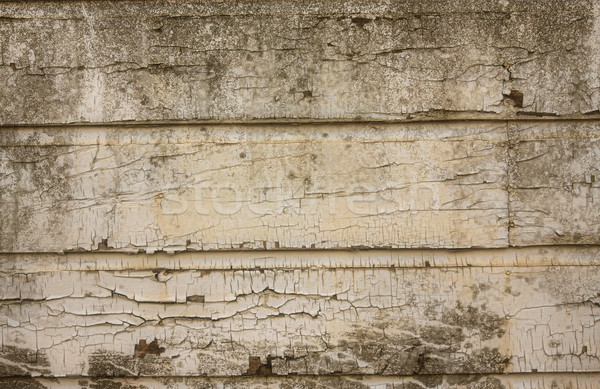 Peeling paint on grunge wooden wall Stock photo © Sandralise