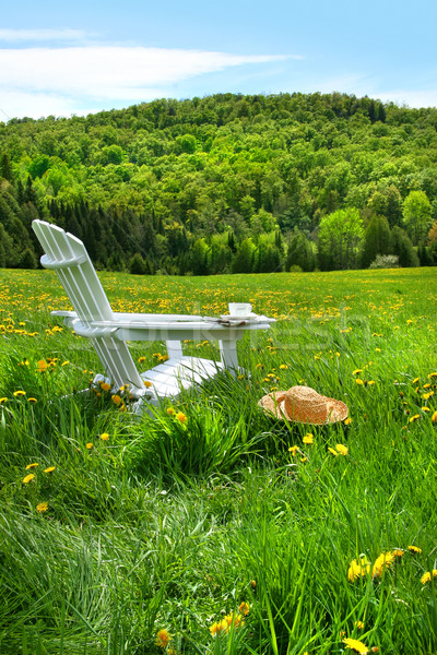 Foto stock: Relaxante · verão · cadeira · campo · alto · grama