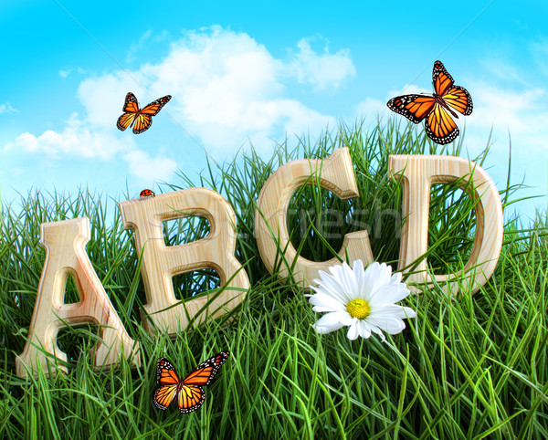 Stock photo: ABC letters with daisy in grass