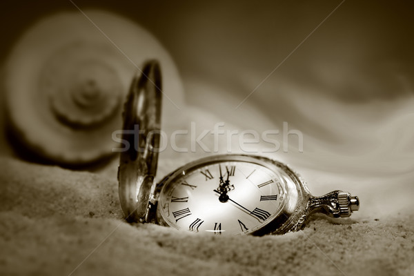 Watch lost in the sand/Sepia tone Stock photo © Sandralise