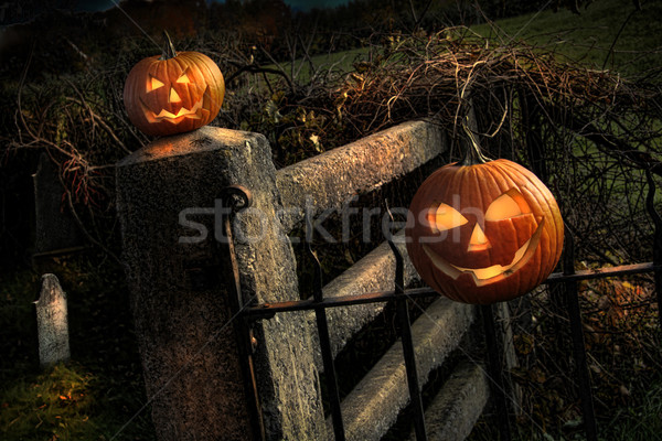 Two Halloween pumpkins sitting on fence Stock photo © Sandralise