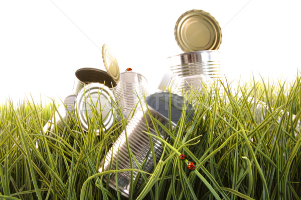 Forgotten empty cans and bottles in grass Stock photo © Sandralise