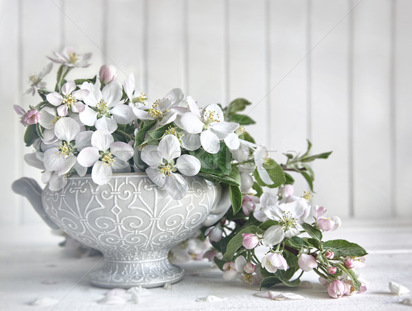 Măr floare flori vază tabel cer Imagine de stoc © Sandralise