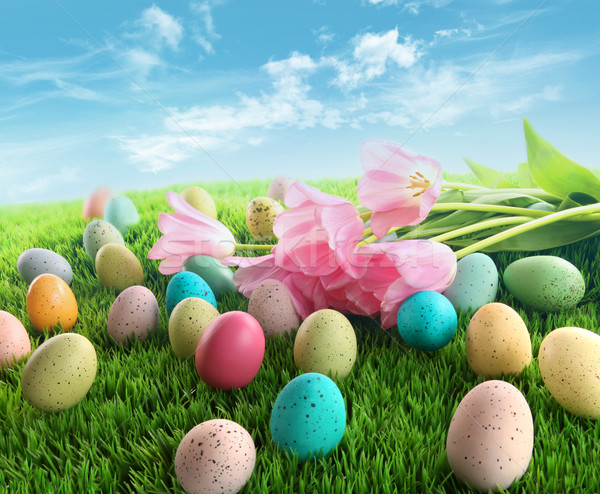 商業照片: 復活節彩蛋 · 粉紅色 · 鬱金香 · 草 · 藍天 · 復活節