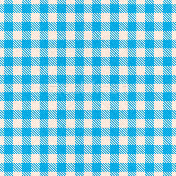 Blue plaid textured gingham vector pattern background Stock photo © sanjanovakovic