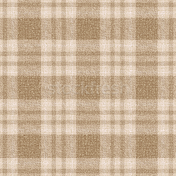 Beige and brown plaid textured fabric vector pattern background Stock photo © sanjanovakovic