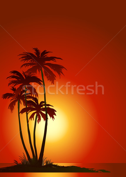 Palm пляж тропический пляж пальмами небе океана Сток-фото © sanyal