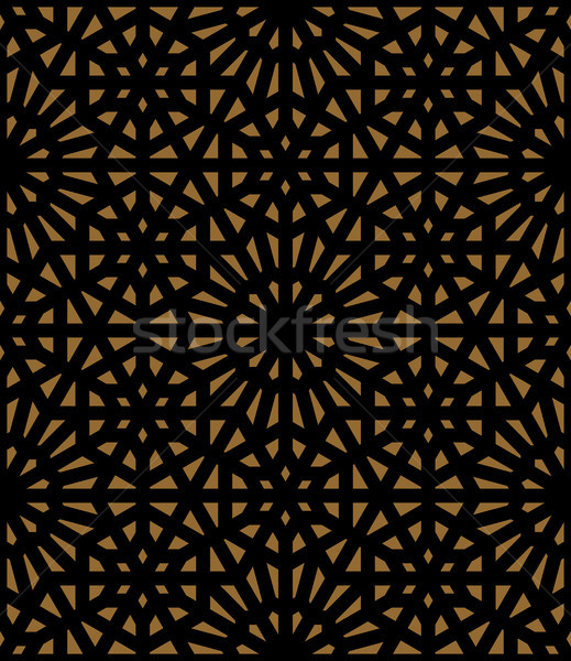 Vector abstract geometric ethnic ornament Stock photo © sanyal