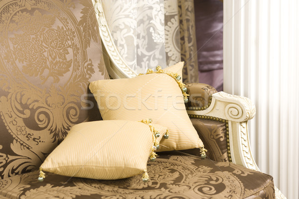 Domu wnętrza dwa poduszki piękna Zdjęcia stock © sapegina