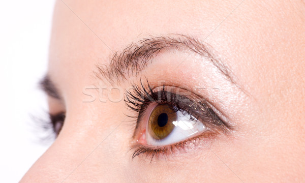 Ojos marrones primer plano hermosa joven ojos jóvenes Foto stock © sapegina