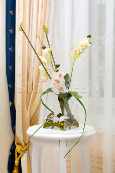 [[stock_photo]]: Transparent · vase · fleurs · blanches · design