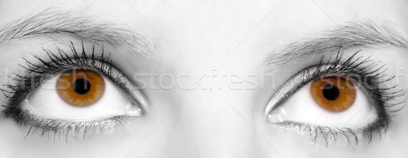 Hermosa ojos primer plano ojos marrones cara monocromo Foto stock © sapegina