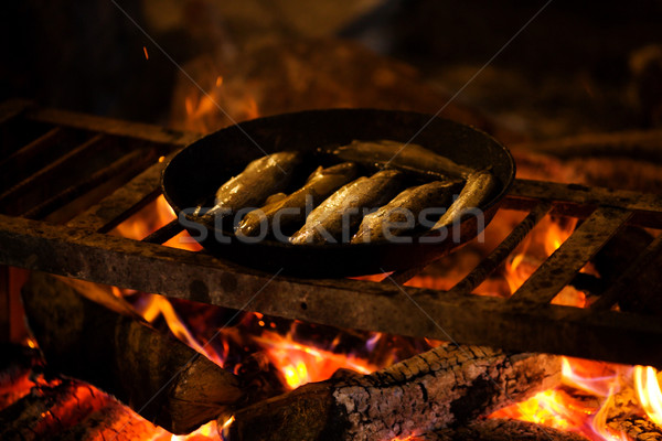 Pastrav sase proaspăt râu gatit deschide focul Imagine de stoc © sapegina
