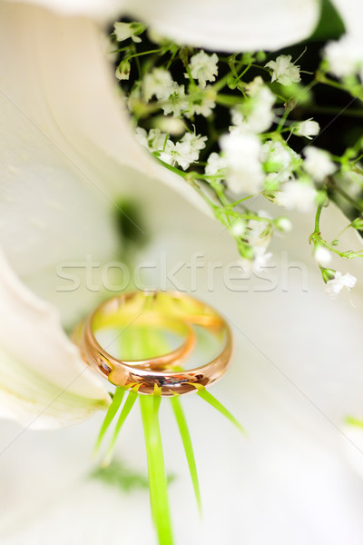 Anéis de casamento dois dourado flores macro tiro Foto stock © sapegina