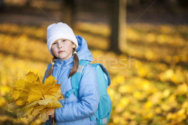  girl holding maple leaves Stock photo © sapegina