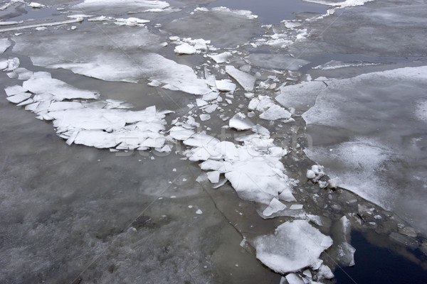 Drifting of ice Stock photo © sapegina