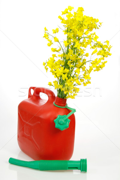 Biodiesel Stock photo © Saphira