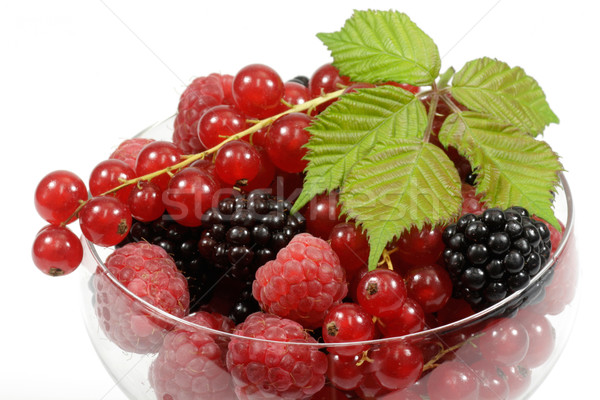 Berries Stock photo © Saphira