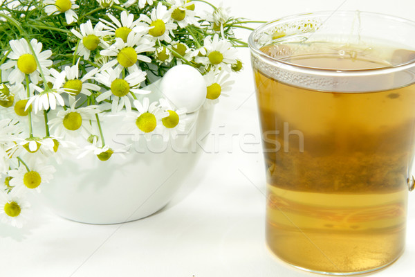Camomila chá chá medicinal fresco branco planta Foto stock © Saphira