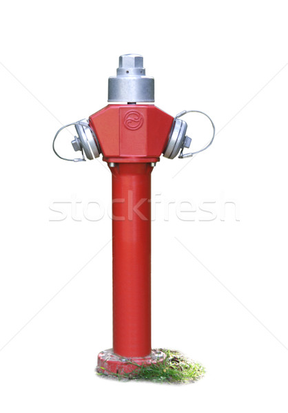 Ognia czerwony odizolowany biały Zdjęcia stock © Saphira