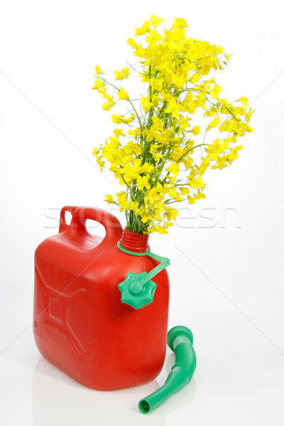 Biodiesel Stock photo © Saphira