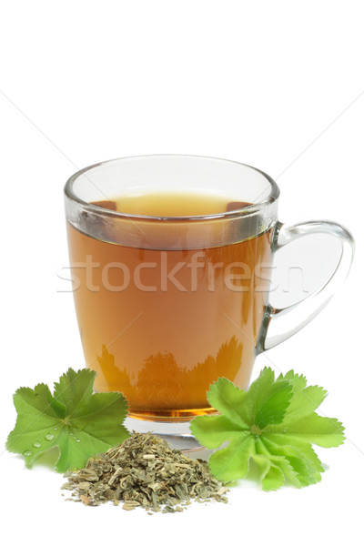Tea of ladys mantle Stock photo © Saphira