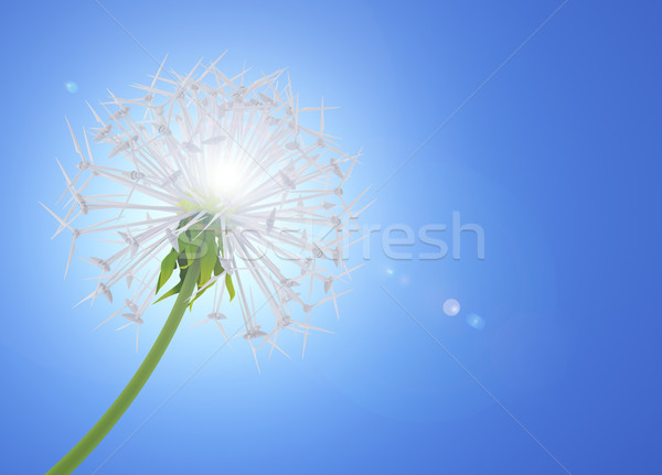 Energy Saving dandelion Stock photo © Saracin