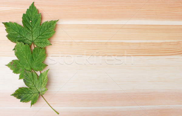 Three green sycamore leaves on a wooden background Stock photo © sarahdoow