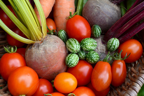 Rojo tomates arco iris remolacha zanahorias primer plano Foto stock © sarahdoow