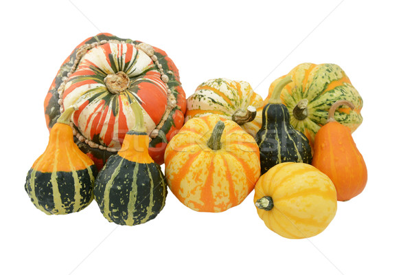 Selection of ornamental gourds with striped Turks turban squash Stock photo © sarahdoow