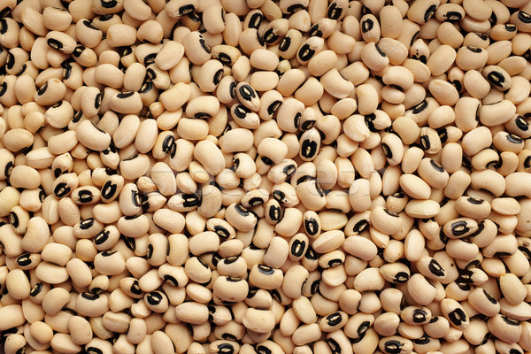 Dried black eyed peas background Stock photo © sarahdoow