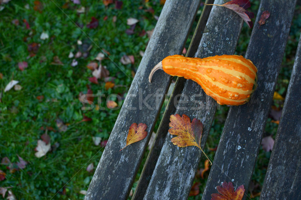 Orange pear-shaped ornamental gourd lies on rustic wooden bench Stock photo © sarahdoow