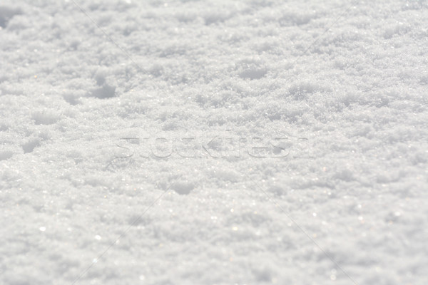 ふわっとした 新鮮な 白 雪 日光 ストックフォト © sarahdoow