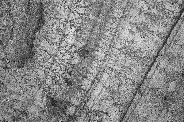 Intricate fern-like markings on sandstone Stock photo © sarahdoow