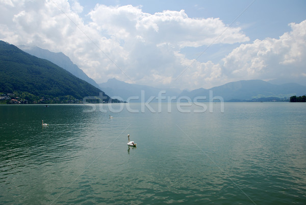 Still alpine lake, the Traunsee Stock photo © sarahdoow